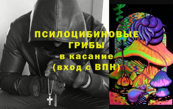 ALPHA PVP Новозыбков