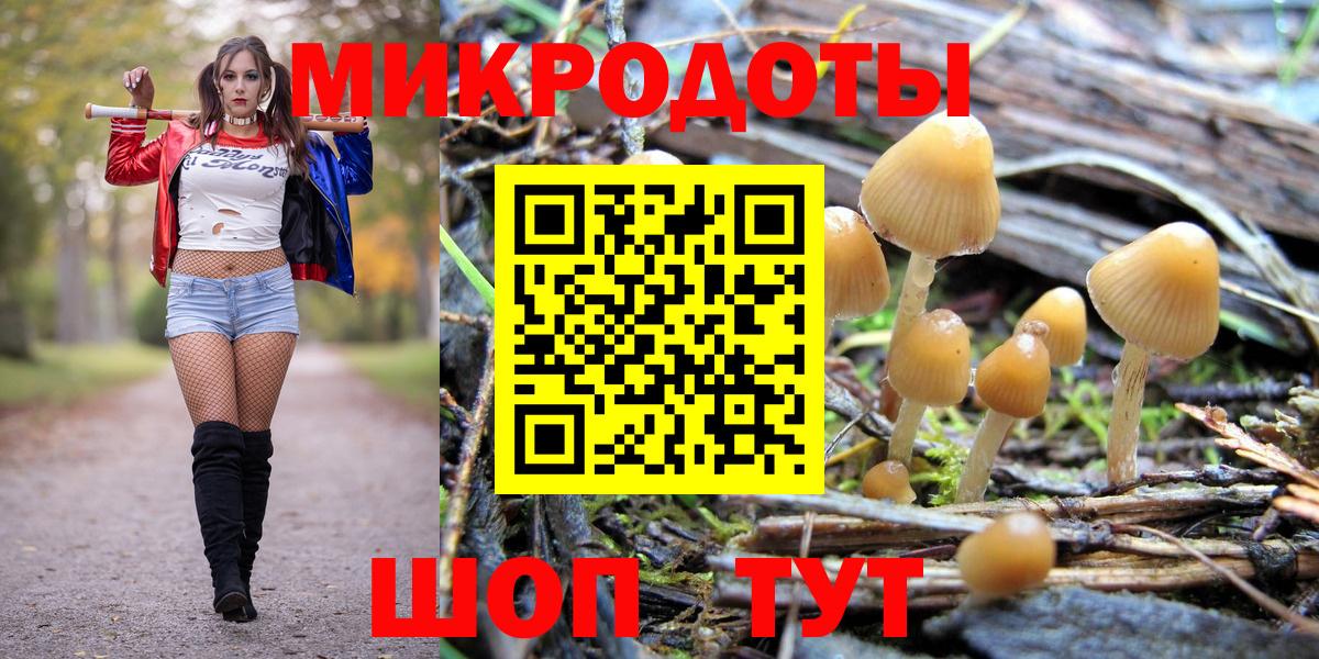 Галлюциногенные грибы GOLDEN TEACHER Апрелевка