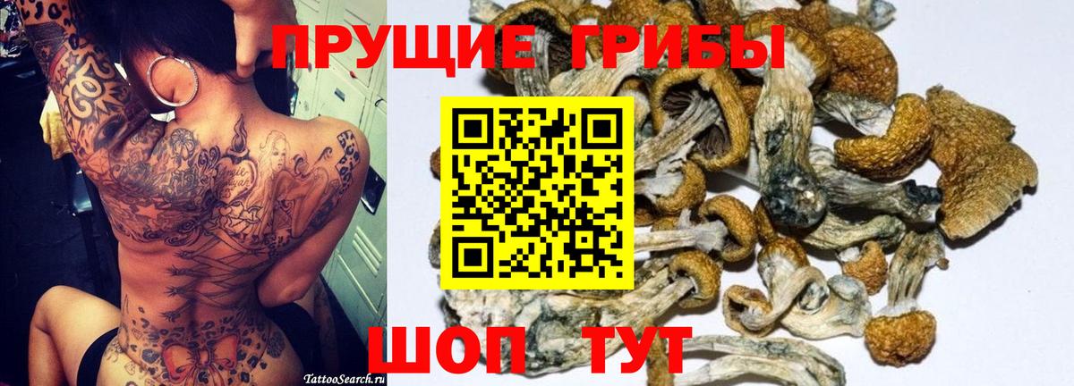 Псилоцибиновые грибы мухоморы  Апрелевка 