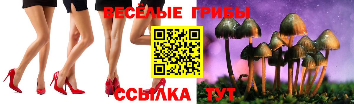 Галлюциногенные грибы мицелий  Вход с VPN  Апрелевка  Псилоцибиновые грибы прущие грибы 
